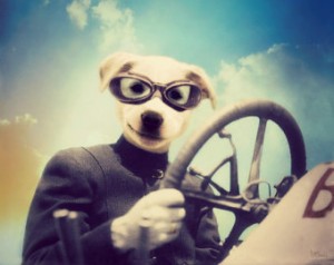 il_340x270.505030416_d774